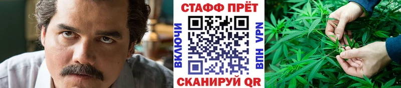 Какие есть наркотики Темников A PVP ГАШ MDMA Cocaine Бошки Шишки