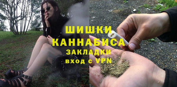 винт Мегион