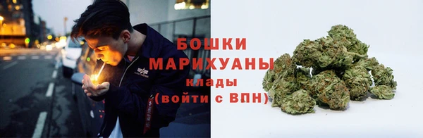 винт Мегион