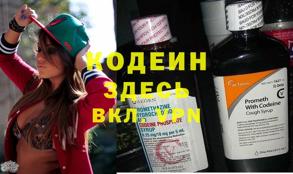 твердый Михайлов