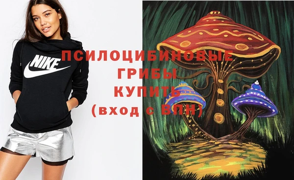 герыч Медвежьегорск