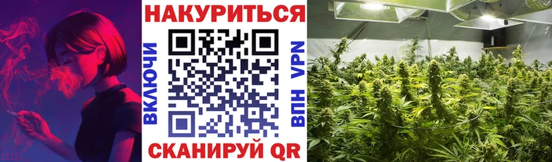 что такое   Темников  Шишки марихуана THC 21% 